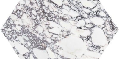 Viola Roccia 24 Picket