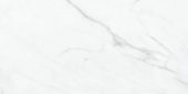 Altezza 12x24 Carrara | Gramercy Kitchen and Bath