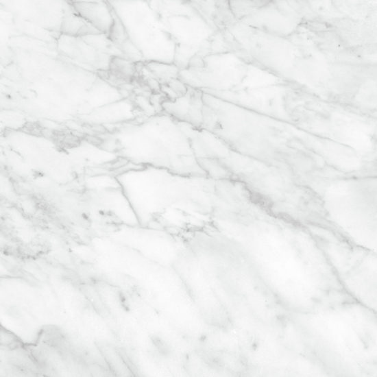Plata 24x24 Carrara Abisso Matte | Gramercy Kitchen and Bath