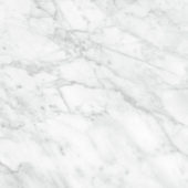 Plata 24x24 Carrara Abisso Polished | Gramercy Kitchen and Bath