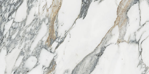 Royal Stoneworks 12X24 Italian Arabescato Polished | Gramercy Kitchen and Bath