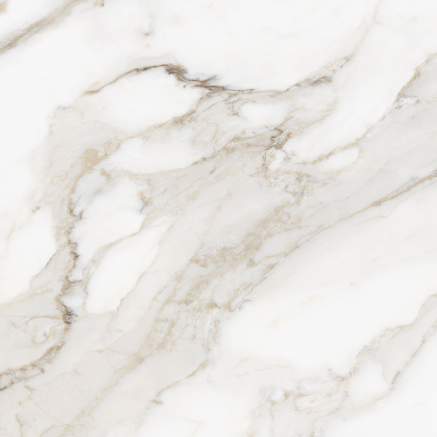 Royal Stoneworks 24X24 Calacatta Royale Honed | Gramercy Kitchen and Bath