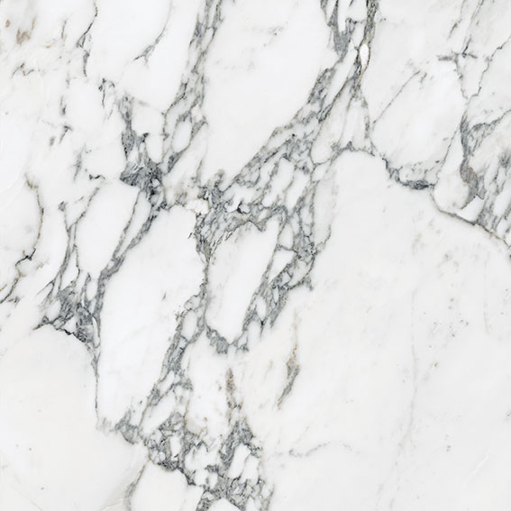 Royal Stoneworks 24X24 Italian Arabescato Honed | Gramercy Kitchen and Bath