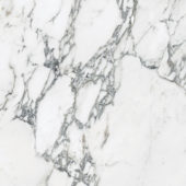 Royal Stoneworks 24X24 Italian Arabescato Polished | Gramercy Kitchen and Bath