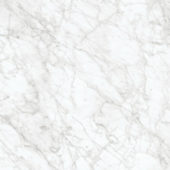 Royal Stoneworks 24X24 Old World Bianco Honed | Gramercy Kitchen and Bath