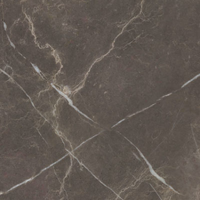 Royal Stoneworks 24X24 Regal Brown Marble Honed