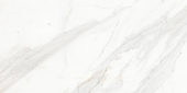 Royal Stoneworks 24X48 Crown Calacatta Honed | Gramercy Kitchen and Bath