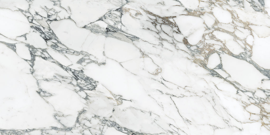 Royal Stoneworks 24X48 Italian Arabescato Polished | Gramercy Kitchen and Bath