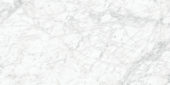 Royal Stoneworks 24X48 Old World Bianco Honed | Gramercy Kitchen and Bath