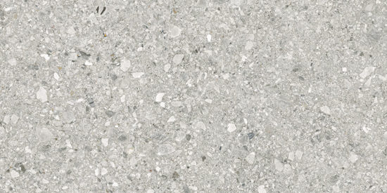 Royal Stoneworks 24X48 Regal Fossil Vein Grn