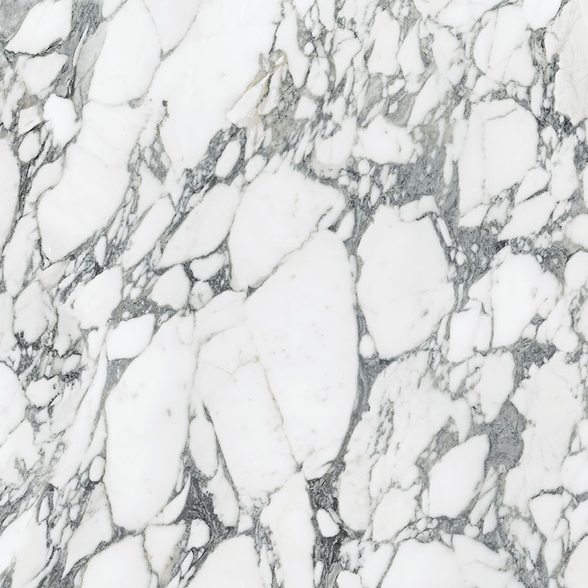 Royal Stoneworks 36X36 Italian Arabescato Honed | Gramercy Kitchen and Bath