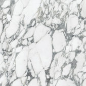 Royal Stoneworks 36X36 Italian Arabescato Polished | Gramercy Kitchen and Bath