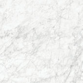 Royal Stoneworks 48X48 Old World Bianco Honed | Gramercy Kitchen and Bath