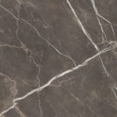 Royal Stoneworks 48X48 Regal Brown Marble Honed | Gramercy Kitchen and Bath