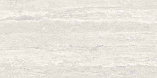 Saturnia 24x48 Roman Matte | Gramercy Kitchen and Bath