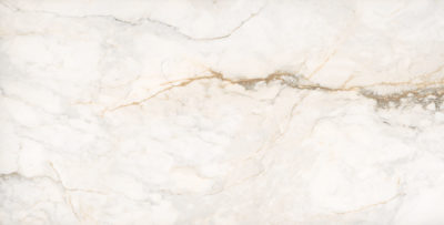 Treasure II Perfect Calacatta 24×48 Polished